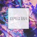 cover: Alejandro Arilla|K?do Rebelle - Moonlit Road (One Year Remix)