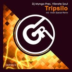 cover: Vibrate Soul - Tripsilo