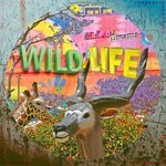 cover: Wild & Life - Maloto/Dreams