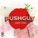 cover: Pushguy - Fortitude