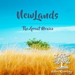 cover: Newlands - The Great Mexico