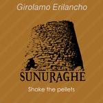 cover: Girolamo Erilancho - Shake The Pellets