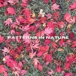 cover: Nigel Hayes - Patterns In Nature