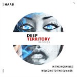 cover: Haab - In The Morning/Welcome To The Summer