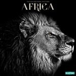 cover: Various - Africa: Tech House Tribal Rhythms