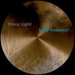 cover: Various - Disco Light