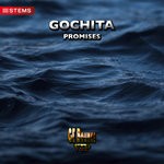 cover: Gochita - Promises