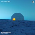 cover: Detect Theory - Shelter EP