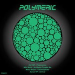 cover: Aaron Tp|Dj Esp|Maxx Rossi|Wht Moth - Polymerica EP