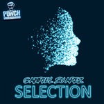 cover: Gabriel Suarez - Selection