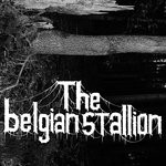 cover: The Belgian Stallion - Nachts Im Wald