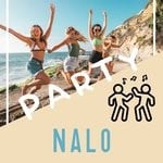 cover: Nalo - Party