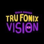 cover: Tru Fonix - Vision