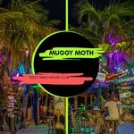 cover: Muggy Moth - Dizzy Wave House Club