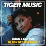 cover: Camelcrush - Blow My Whistle