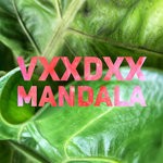 cover: Vxxdxx - Mandala