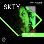 cover: Skiy - Jukebox (303 Mix)