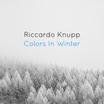 cover: Riccardo Knupp - Colors In Winter