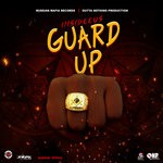 cover: Insideeus - Guard Up