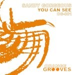 cover: Sandy Gorgeous - You Can See