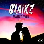 cover: Blaikz & Viventas - Want You (Remixes)