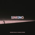 cover: Bronze Whale - Sinking