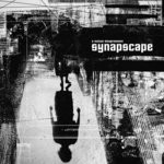 cover: Synapscape - A Mutual Disagreement