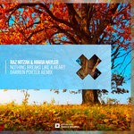 cover: Maria Nayler|Raz Nitzan - Nothing Breaks Like A Heart (Darren Porter Remix)