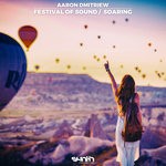 cover: Aaron Dmitriew - Festival Of Sound/Soaring