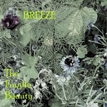 cover: Breeze - The Fragile Beauty