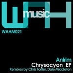 cover: Antrim - Chrysocyon EP