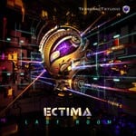 cover: Ectima - Last Room