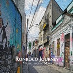 cover: Michelangelo Maio - Ronroco Journey