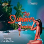 cover: Various - Top Summer Tracks