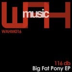 cover: 116 Db - Big Fat Pony EP