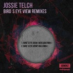 cover: Jossie Telch - Bird's Eye View Remixes