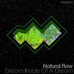 cover: Natural_flow - Dream Inside Of A Dream LP