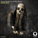 cover: Fleischmann & Acidic Beats - Witch You