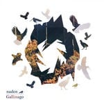 cover: Naden - Gallinago