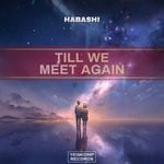 cover: Habashi - Till We Meet Again