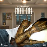 cover: Vybz Kartel - Not Ok