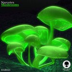 cover: Narcotex - Mushrooms