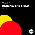 cover: Modul P - Among The Field