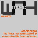 cover: Montenegro - The Things That Really Matters EP