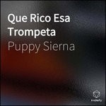 cover: Puppy Sierna - Que Rico Esa Trompeta