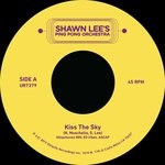 cover: Shawn Lee - Kiss The Sky