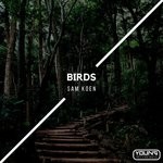 cover: Sam Koen - Birds