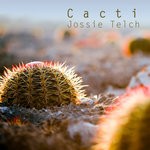 cover: Jossie Telch - Cacti