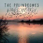 cover: The Palindromes - Birds Of Prey