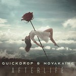 cover: Quickdrop & Novakaine - Afterlife